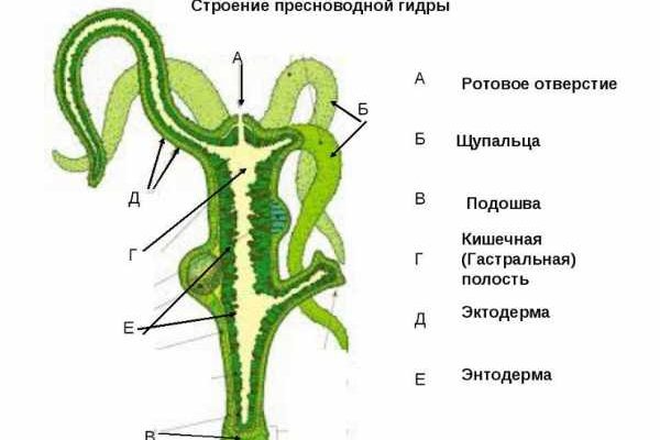 Кракен зеркало впн