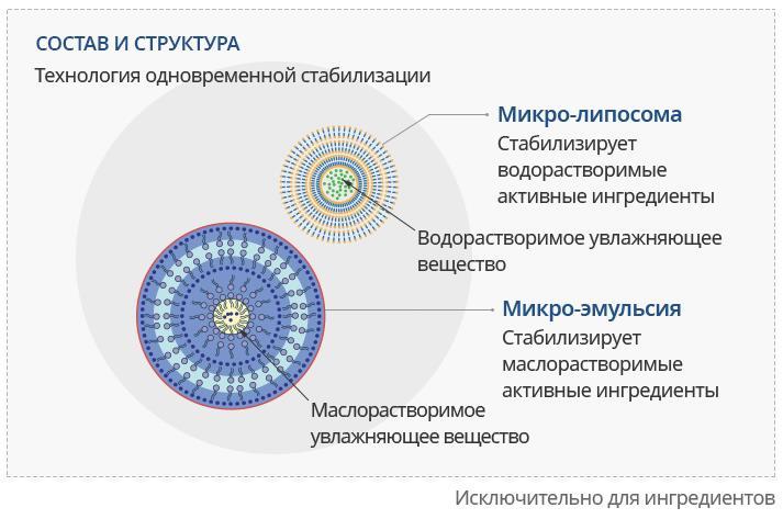 Как зайти на кракен в тор браузере